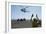 Aviation Boatswain's Mate Directs an SA-330J Puma Helicopter-null-Framed Photographic Print