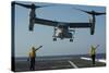 Aviation Boatswain's Mates Direct an MV-22 Osprey as it Launches from the Flight Deck-null-Stretched Canvas