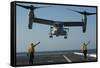 Aviation Boatswain's Mates Direct an MV-22 Osprey as it Launches from the Flight Deck-null-Framed Stretched Canvas