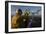 Aviation Boatswain's Mates Direct an MV-22 Osprey on the Flight Deck-null-Framed Premium Photographic Print