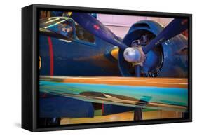 Aviation I-Lee Peterson-Framed Stretched Canvas