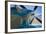 Aviation II-Lee Peterson-Framed Photographic Print