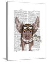 Aviator Piggy-Fab Funky-Stretched Canvas