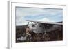 Aviator Roland Angel Repaints His Father's Flamingo Monoplane, Auyantepui, Venezuela, 1965-Carl Mydans-Framed Photographic Print