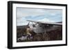 Aviator Roland Angel Repaints His Father's Flamingo Monoplane, Auyantepui, Venezuela, 1965-Carl Mydans-Framed Photographic Print