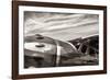 Aviator-Nathan Larson-Framed Photographic Print
