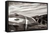 Aviator-Nathan Larson-Framed Stretched Canvas