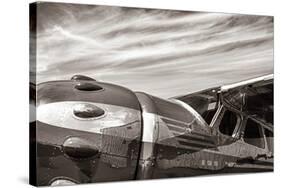 Aviator-Nathan Larson-Stretched Canvas