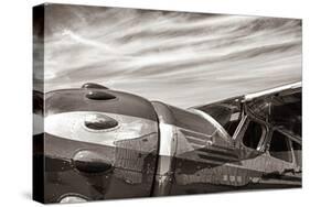 Aviator-Nathan Larson-Stretched Canvas