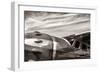 Aviator-Nathan Larson-Framed Photographic Print