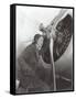 Aviatrix with Prop Engine-null-Framed Stretched Canvas