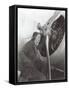 Aviatrix with Prop Engine-null-Framed Stretched Canvas