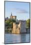 Avignon Bridge, Avignon, Provence, France-Jim Engelbrecht-Mounted Photographic Print