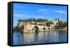 Avignon Bridge with Popes Palace, Pont Saint-Benezet, Provence, France-Zechal-Framed Stretched Canvas