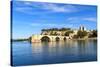 Avignon Bridge with Popes Palace, Pont Saint-Benezet, Provence, France-Zechal-Stretched Canvas