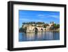 Avignon Bridge with Popes Palace, Pont Saint-Benezet, Provence, France-Zechal-Framed Photographic Print