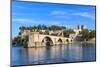 Avignon Bridge with Popes Palace, Pont Saint-Benezet, Provence, France-Zechal-Mounted Photographic Print