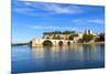 Avignon Bridge with Popes Palace, Pont Saint-Benezet, Provence, France-Zechal-Mounted Photographic Print