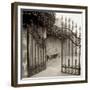 Avignon I-Alan Blaustein-Framed Photographic Print