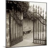 Avignon I-Alan Blaustein-Mounted Photographic Print