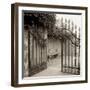 Avignon I-Alan Blaustein-Framed Premium Photographic Print