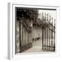 Avignon I-Alan Blaustein-Framed Premium Photographic Print