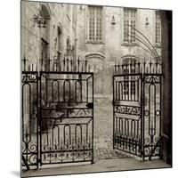 Avignon II-Alan Blaustein-Mounted Photographic Print