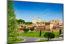 Avignon Old Town in Provence, France-SerrNovik-Mounted Photographic Print
