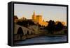 Avignon, Provence, France-phbcz-Framed Stretched Canvas