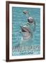 Avila Beach, CA - Dolphins-Lantern Press-Framed Art Print