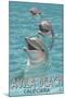 Avila Beach, CA - Dolphins-Lantern Press-Mounted Art Print