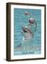 Avila Beach, CA - Dolphins-Lantern Press-Framed Art Print