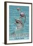 Avila Beach, CA - Dolphins-Lantern Press-Framed Art Print