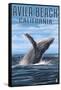 Avila Beach, California - Humpback Whale-Lantern Press-Framed Stretched Canvas