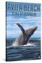 Avila Beach, California - Humpback Whale-Lantern Press-Stretched Canvas