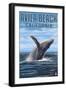 Avila Beach, California - Humpback Whale-Lantern Press-Framed Art Print