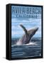 Avila Beach, California - Humpback Whale-Lantern Press-Framed Stretched Canvas