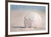 Avila Beach, California - Sand Dollar and Beach-Lantern Press-Framed Art Print