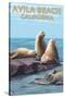 Avila Beach, California - Sea Lions-Lantern Press-Stretched Canvas