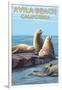 Avila Beach, California - Sea Lions-Lantern Press-Framed Art Print