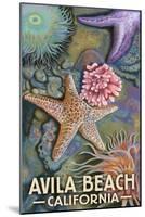 Avila Beach, California - Tidepool-Lantern Press-Mounted Art Print