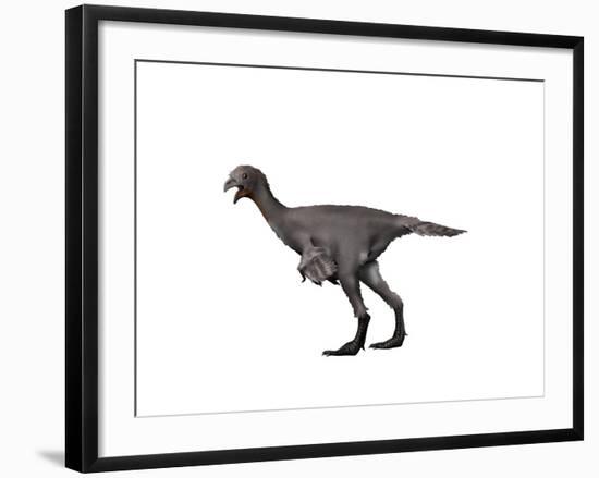 Avimimus Dinosaur-null-Framed Art Print