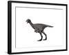 Avimimus Dinosaur-null-Framed Art Print