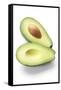 Avocado Halves-Jon Stokes-Framed Stretched Canvas