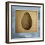 Avocado in Three 01-Kory Fluckiger-Framed Giclee Print