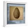 Avocado in Three 01-Kory Fluckiger-Framed Giclee Print