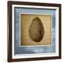 Avocado in Three 01-Kory Fluckiger-Framed Giclee Print