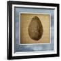 Avocado in Three 01-Kory Fluckiger-Framed Giclee Print