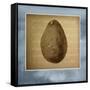 Avocado in Three 01-Kory Fluckiger-Framed Stretched Canvas
