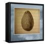 Avocado in Three 01-Kory Fluckiger-Framed Stretched Canvas